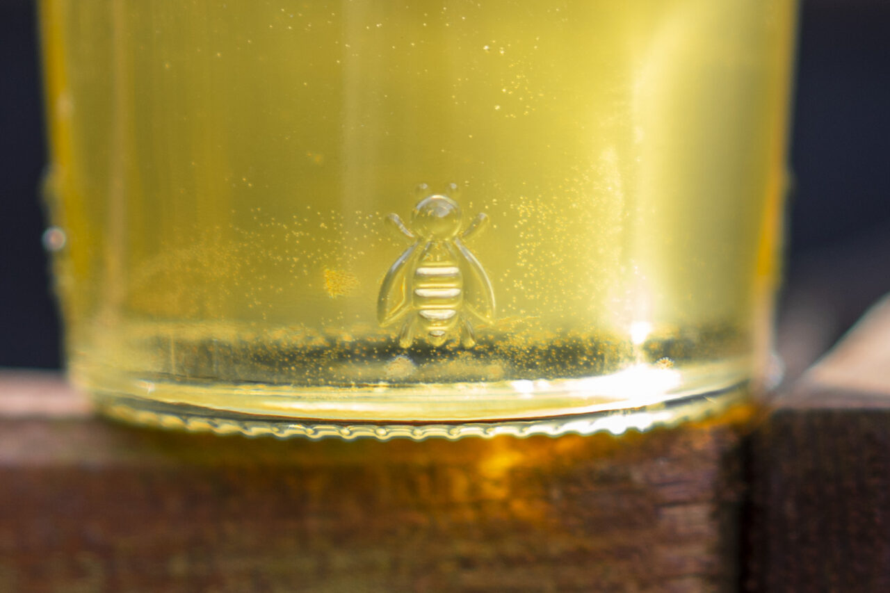 pragmacom.eu actu le miel comme composant électronique respectueux de l'environnement