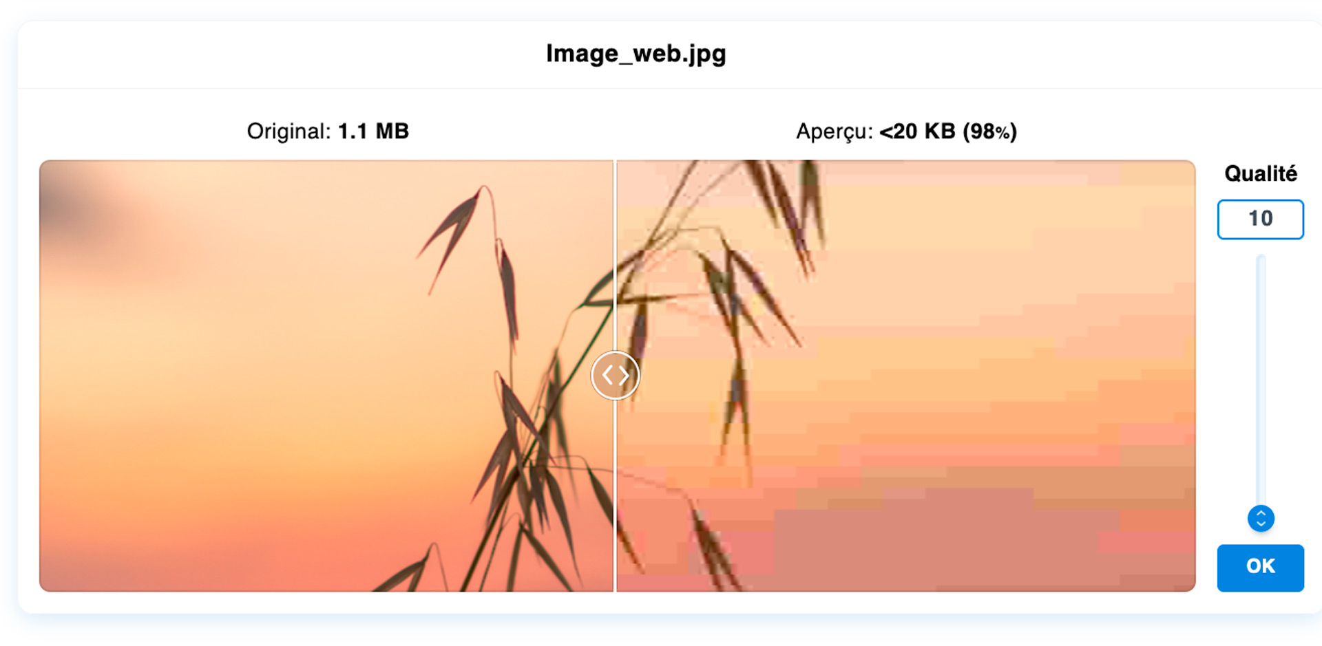 pragmacom.eu rendre facile web création graphique réduire compresser image pour le web illustration 6